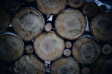 Kuru tahta kütüklerden yapılmış ahşap bir evin duvarı.