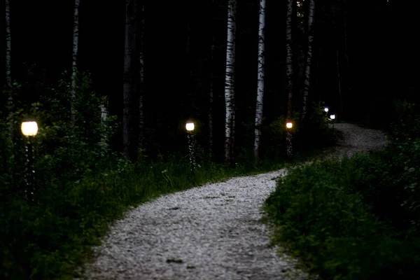 Street light on the path in the city park