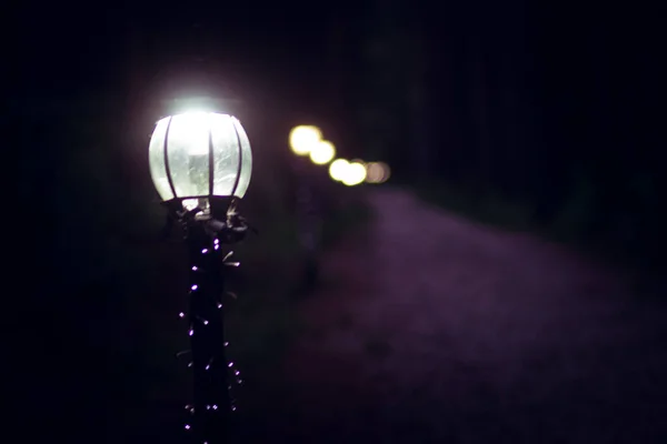 Straatlicht Het Pad Het Stadspark — Stockfoto