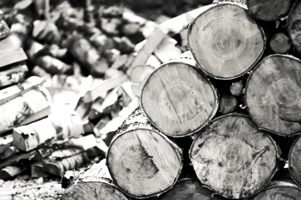 The wall of a wooden log house made of dry wooden round logs