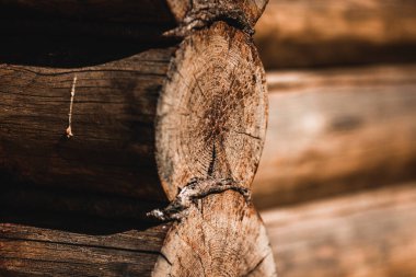 Rus Köylüleri Geleneksel Günlük Kaydı Vintage Evi