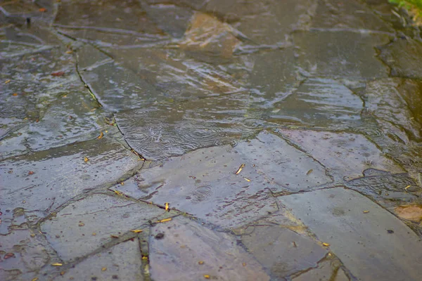 Large Summer Rain Drops Stone Path — Stock Photo, Image