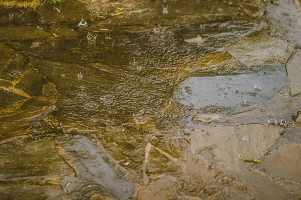 Grandes Gouttes Pluie Estivales Sur Chemin Pierre — Photo