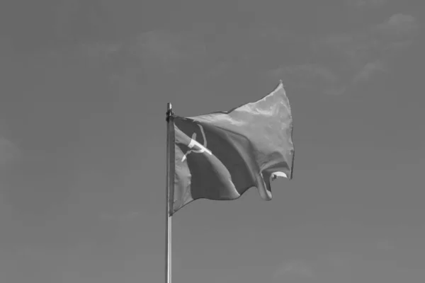 風になびくハンマーと鎌でソ連の赤い旗 — ストック写真
