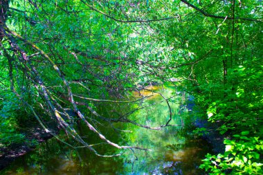 Rus tereminin ahşap kapısında eski bir demir cıvata.