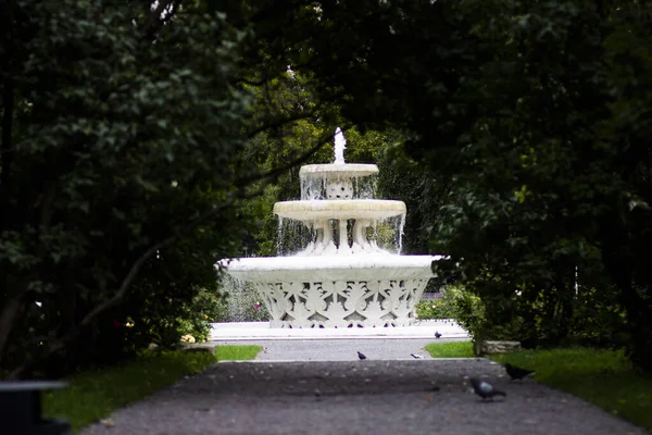 Ein Malerisch Schöner Brunnen Mit Wasser Einem Sommerlichen Stadtpark — Stockfoto