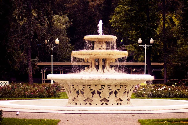 Ein Malerisch Schöner Brunnen Mit Wasser Einem Sommerlichen Stadtpark — Stockfoto