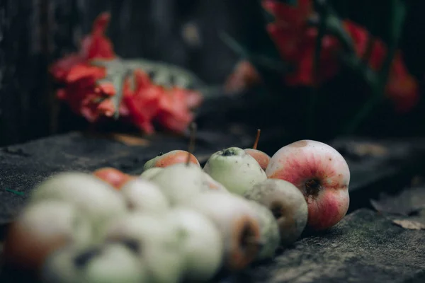 木のテーブルの上でジューシーな赤緑の秋のリンゴを熟す — ストック写真