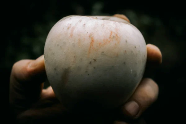 人の手に大きな緑の熟したジューシーなリンゴ — ストック写真