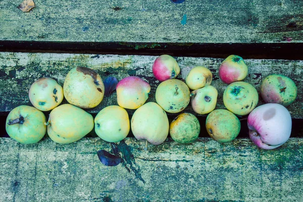 Pommes Automne Juteuses Mûres Rouges Vertes Sur Une Table Bois — Photo