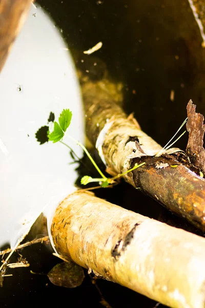 Oude Houten Stokjes Een Ijzeren Waterloop — Stockfoto