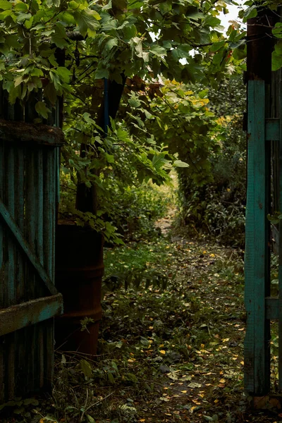 Una Vieja Cerca Pintada Madera Podrida Una Puerta Jardín Otoño — Foto de Stock