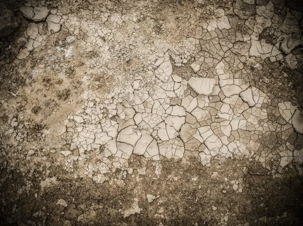 Suchá půdní textura na zemi — Stock fotografie