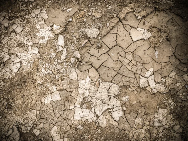 地面上的干土壤质地 — 图库照片