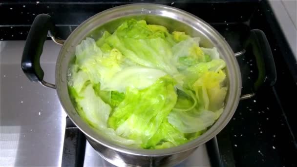 Pişirme taze lahana ev 4 k — Stok video