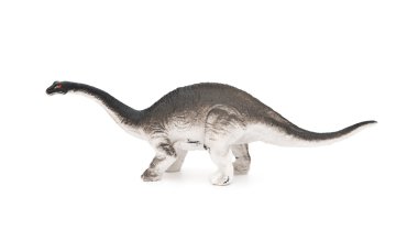yan görünümü gri brachiosaurus oyuncak beyaz bir arka plan üzerinde
