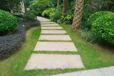 bir bahçede açık yolu