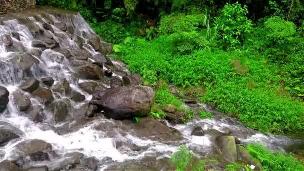 Erdei patak fut át a mohás sziklák 4k — Stock videók