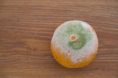 çürük bir portakal