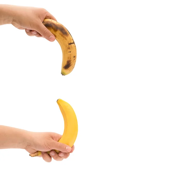 新鮮なバナナを持ち上げて左に手やクリッピング パスと効力概念としてメンズのペニスのような過熟した 1 つ下 — ストック写真