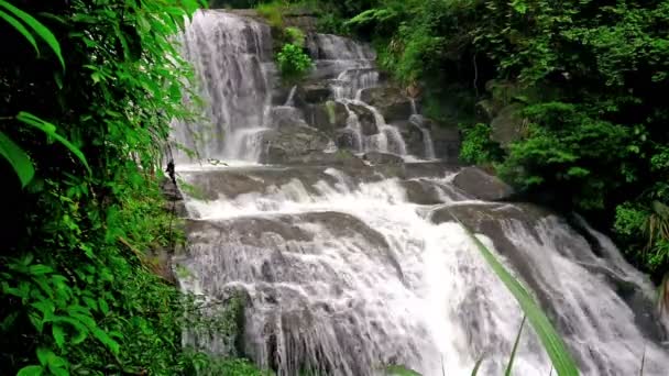 Potente cascata che corre su rocce muschiose con suono 4K Video Stock Royalty Free