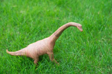 Brachiosaurus oyuncak çim zemin üzerinde