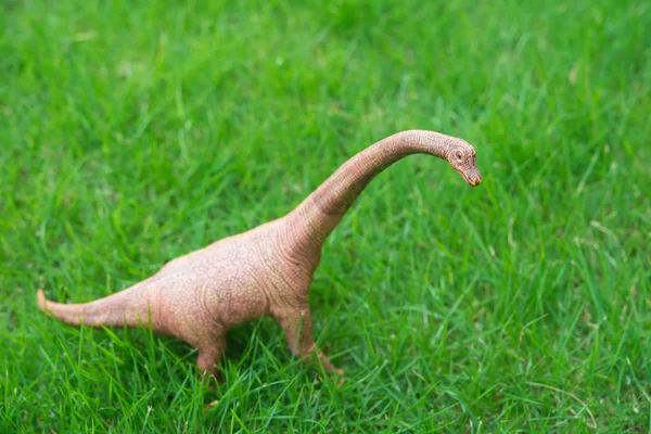 Brachiosaurus toy on grass ground — Stock Photo, Image