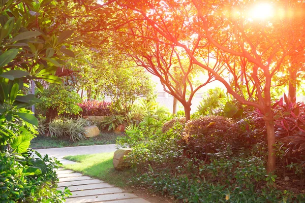 Jardin d'une résidence en soirée contre le soleil — Photo