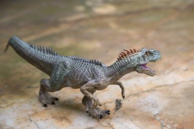 Allosaurus oyuncak kayanın üzerinde duruyor