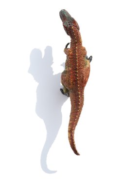 Üstten Görünüm tyrannosaurus ile gölge beyaz bir arka plan üzerinde