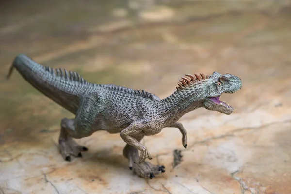 Allosaurus speelgoed staat op rots — Stockfoto