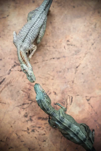 Pohled shora tyrannosaurus a allosaurus hračka na skále — Stock fotografie