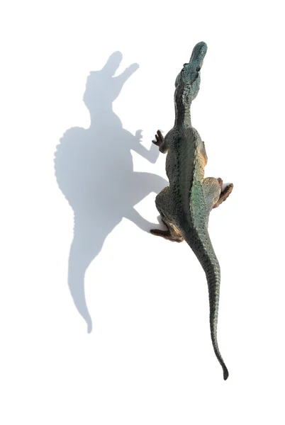 Bovenaanzicht grijs spinosaurus speelgoed op witte achtergrond met schaduw — Stockfoto