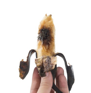 hand holding an overripe banana with worms on a white background clipart