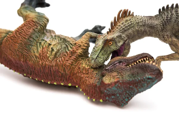 Allosaurus mordiendo juguetes tiranosaurio sobre un fondo blanco —  Fotos de Stock