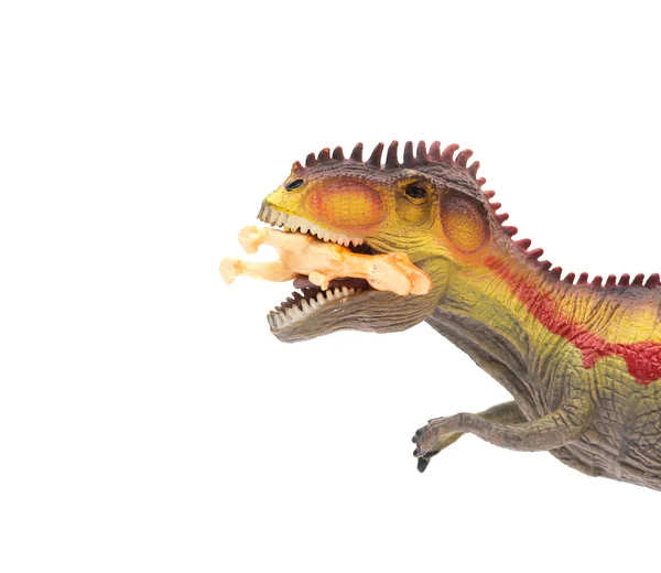 Close-up op Giganotosaurus vangen een kleine dinosaurus speelgoed op witte achtergrond — Stockfoto