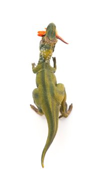 Üstten Görünüm tyrannosaurus daha küçük bir dinozor beyaz bir arka plan üzerinde ısırır.