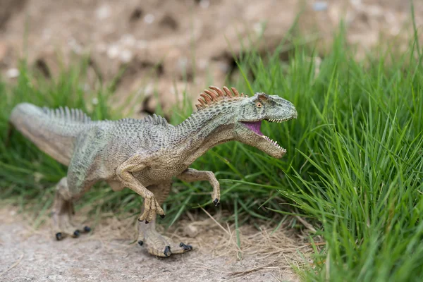 잔디에 allosaurus 장난감 서 — 스톡 사진