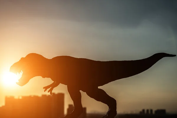 Silhuett av tyrannosaurus og bygninger i solnedgang – stockfoto