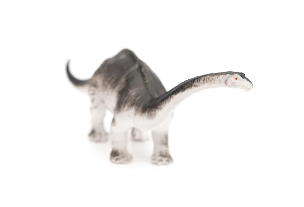 Grå brachiosaurus leksak på en vit bakgrund — Stockfoto