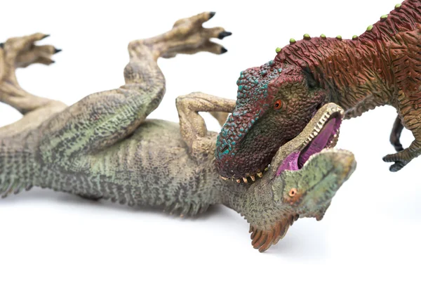 Tyrannosaurus mordiendo allosaurus sobre un fondo blanco —  Fotos de Stock
