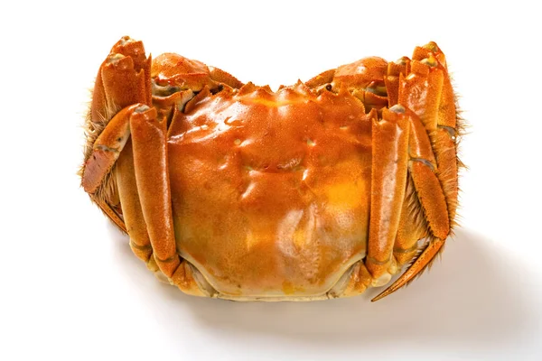 cooked crab on a white background