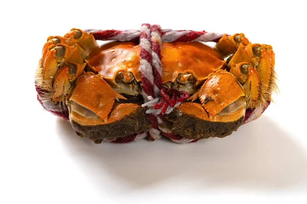 Färsk Kokt Krabba Närbild Horisontell Sammansättning Vit — Stockfoto