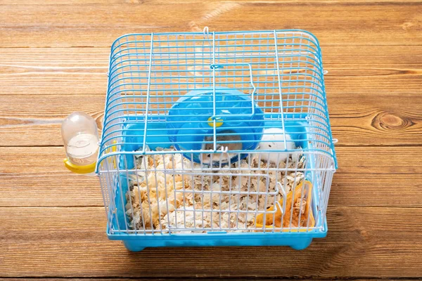 Cage Two Small Hamsters — Stock Photo, Image