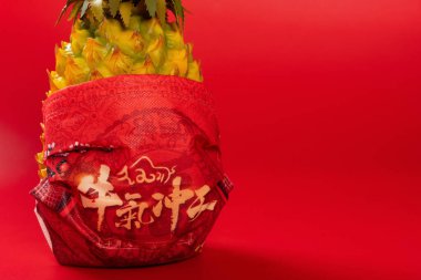 Ananas, Çince karakterlerle basılmış tıbbi bir maske takar. Bu da öküzlerin yakın çekim yılında olduğu anlamına gelir.