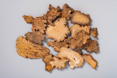 Üst görünüm şifalı bitki SuoYang veya Cynomorii Herba veya Songaria Cynomorium Herb