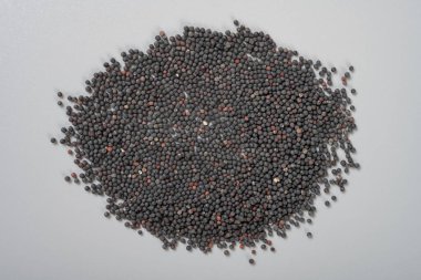 Üst görünüm bitkisi WangBuLiuXing veya Vaccariae spermi veya Cowhere Seed