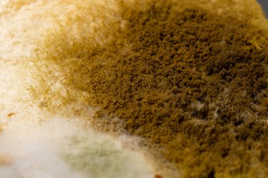 Küflü ekmek arka plan ve doku olarak kapanır