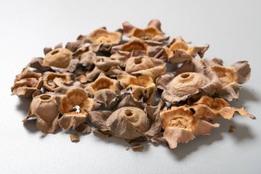 açı görünümü ShiDi veya Kaki Calyx veya Persimmon Calyx ve Receptacle