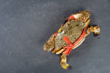 Üst görünüm canlı bir fırsattır. Koyu bir arkaplanda, kopyalama sapıyla sarmalanmış.